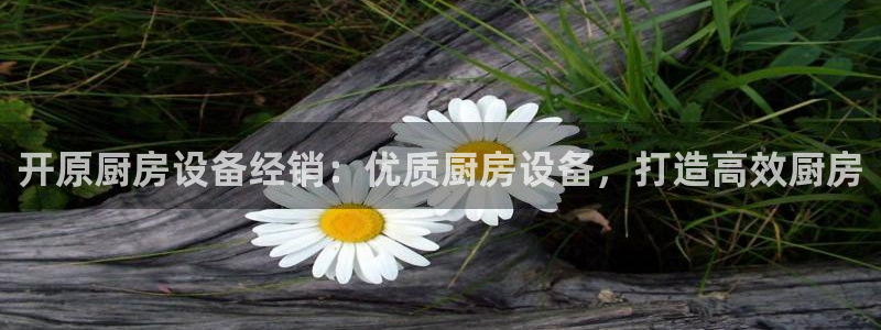 尊龙z6.con：开原厨房设备经销：优质厨房设备，打造高效厨