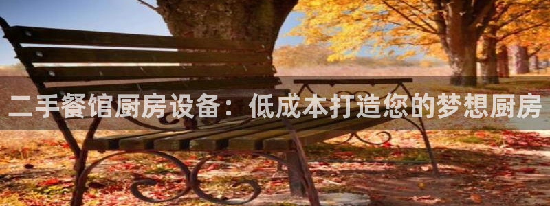 尊龙现金推荐ag发财网：二手餐馆厨房设备：低成本打造您的梦想