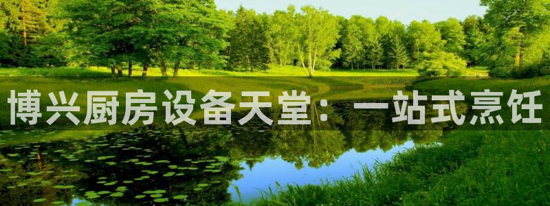 凯时ag旗舰厅网址是什么：博兴厨房设备天堂：一站式烹饪