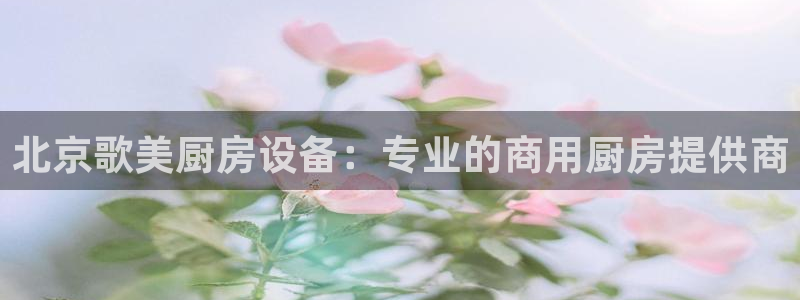 z6尊龙凯时官方：北京歌美厨房设备：专业的商用厨房提供商