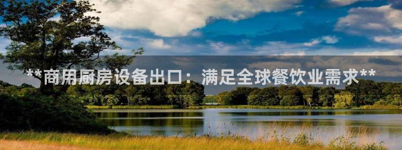 尊龙官方：**商用厨房设备出口：满足全球餐饮业需求**