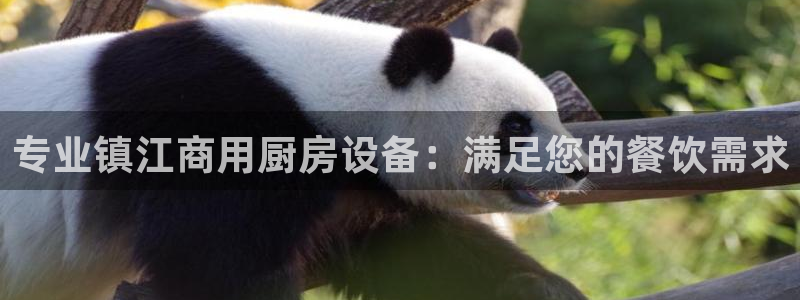 尊龙AG旗舰厅APP：专业镇江商用厨房设备：满足您的餐饮需求