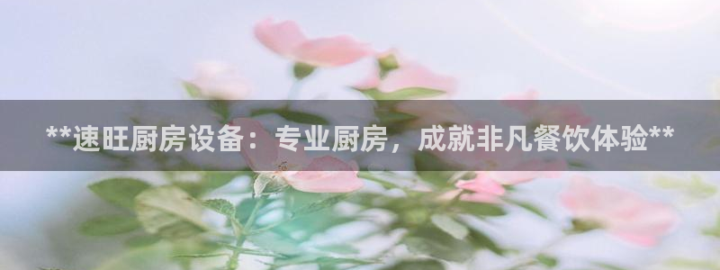 凯时国际app首页下载：**速旺厨房设备：专业厨房，成就非凡