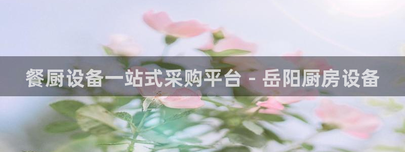 尊龙凯时国际：餐厨设备一站式采购平台 - 岳阳厨房设备