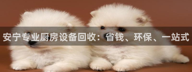 尊龙旗舰店：安宁专业厨房设备回收：省钱、环保、一站式