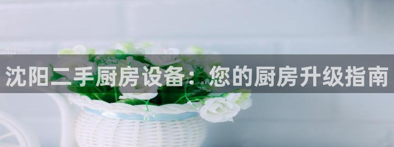 尊龙凯时-人生就是博中国官网首页：沈阳二手厨房设备：您的厨房