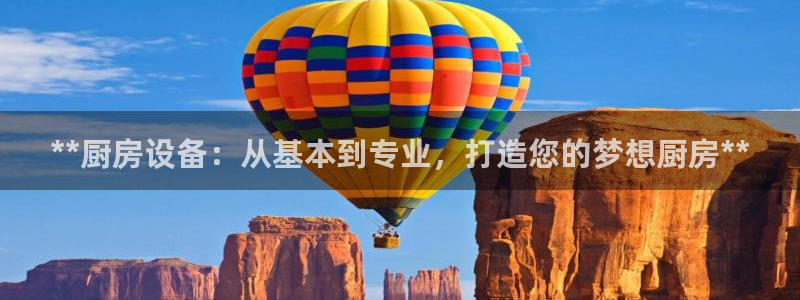 尊龙网站 人生就是博：**厨房设备：从基本到专业，打造您的梦