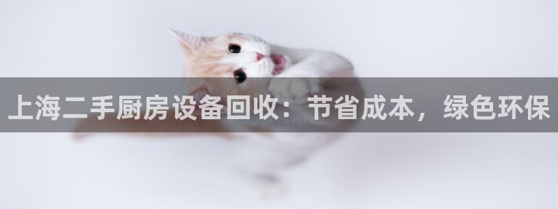 尊龙ag旗舰厅官网登录：上海二手厨房设备回收：节省成本，绿色