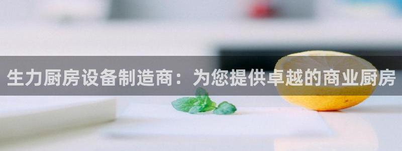 尊龙凯时网：生力厨房设备制造商：为您提供卓越的商业厨房