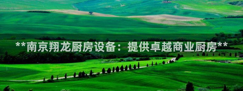 ag尊龙凯时集团：**南京翔龙厨房设备：提供卓越商业厨房**