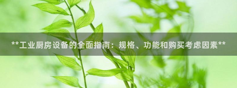 尊龙凯时人生就是博·(中国)官网：**工业厨房设备的全面指南