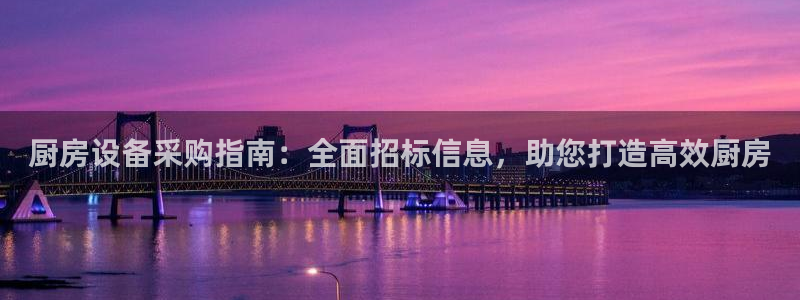 尊龙Ag：厨房设备采购指南：全面招标信息，助您打造高效厨房
