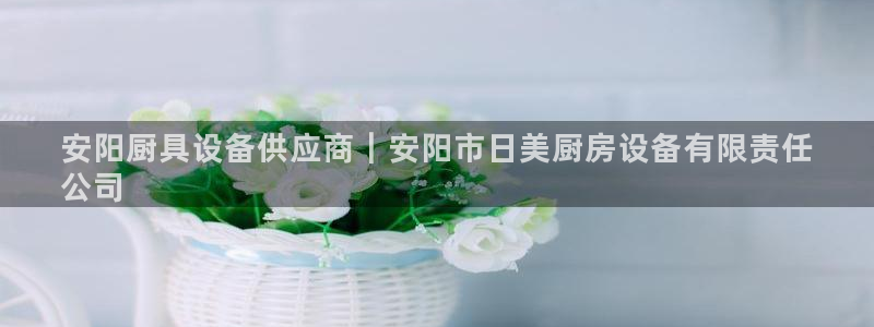 尊龙凯时logo：安阳厨具设备供应商｜安阳市日美厨房设备有限