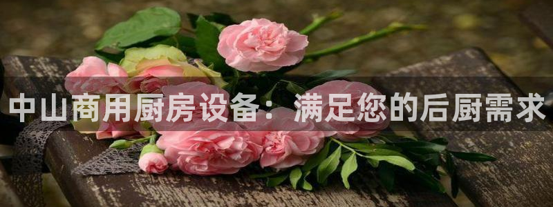 尊龙这个平台怎么样：中山商用厨房设备：满足您的后厨需求