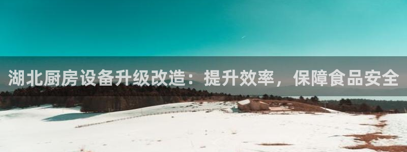 d88尊龙官网手机app：湖北厨房设备升级改造：提升效率，保