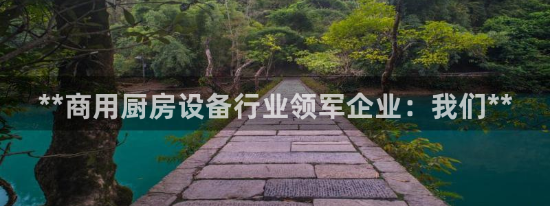 尊龙最经典的三个角色：**商用厨房设备行业领军企业：我们**