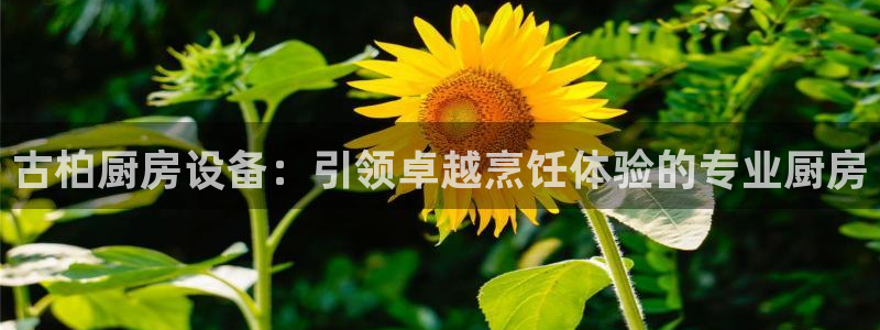 尊龙凯时平台还是万博好：古柏厨房设备：引领卓越烹饪体验的专业