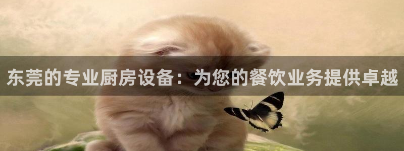 尊龙人生就是博i可靠吗：东莞的专业厨房设备：为您的餐饮业务提