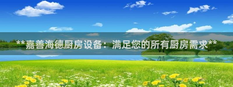 尊龙官网手：**嘉善海德厨房设备：满足您的所有厨房需求**