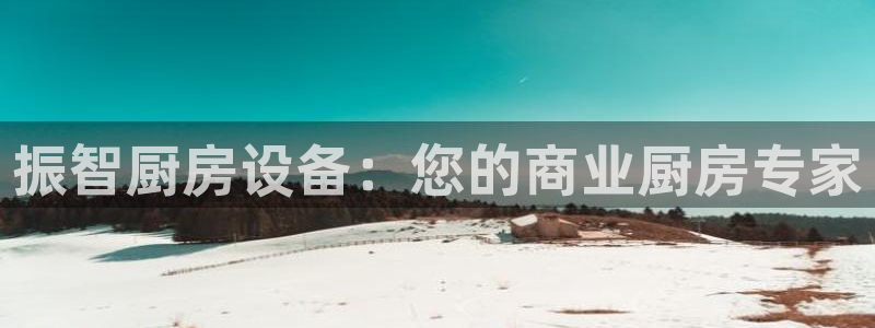 下载尊龙app：振智厨房设备：您的商业厨房专家