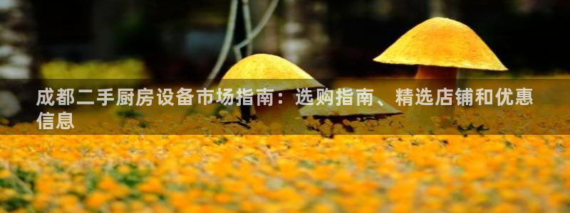 尊龙官网在哪里：成都二手厨房设备市场指南：选购指南、精选店铺