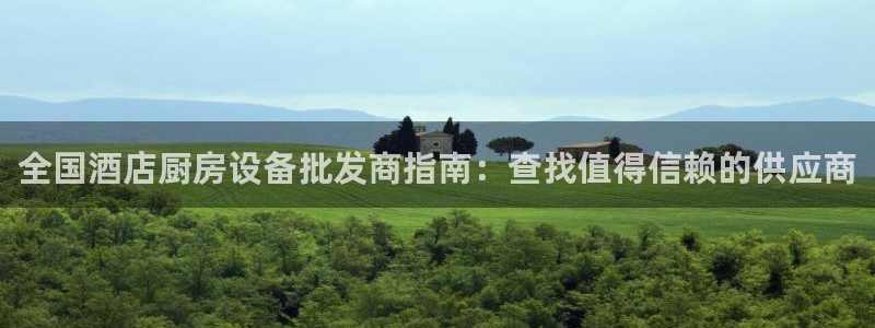 ZL尊龙凯时平台：全国酒店厨房设备批发商指南：查找值得信赖的