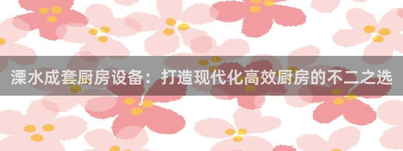 尊龙2016：溧水成套厨房设备：打造现代化高效厨房的不二之选