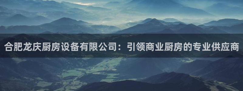 尊龙凯时几百万怎么下：合肥龙庆厨房设备有限公司：引领商业厨房