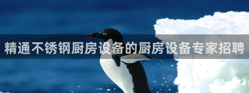 尊龙人生就是博下载：精通不锈钢厨房设备的厨房设备专家招聘