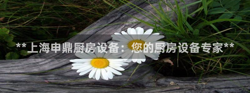 尊龙体育游戏平台：**上海申鼎厨房设备：您的厨房设备专家**