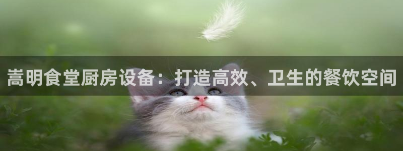 尊龙尊龙：嵩明食堂厨房设备：打造高效、卫生的餐饮空间