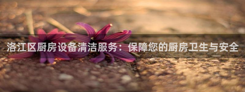 尊龙凯时官网首页：洛江区厨房设备清洁服务：保障您的厨房卫生与