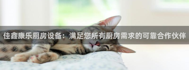Z6尊龙官网入口：佳鑫康乐厨房设备：满足您所有厨房需求的可靠