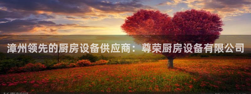 尊龙凯时老板：漳州领先的厨房设备供应商：尊荣厨房设备有限公司