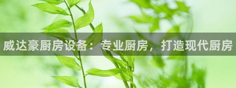 尊龙凯时有限公司：威达豪厨房设备：专业厨房，打造现代厨房