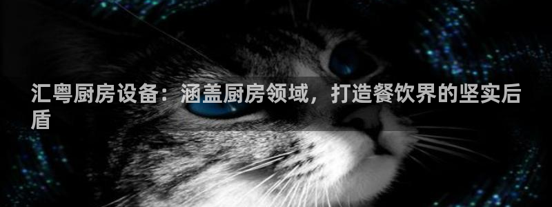尊龙官网免费下载：汇粤厨房设备：涵盖厨房领域，打造餐饮界的坚