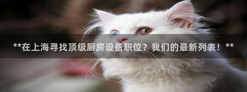 尊龙网站 人生就是博：**在上海寻找顶级厨房设备职位？我们的