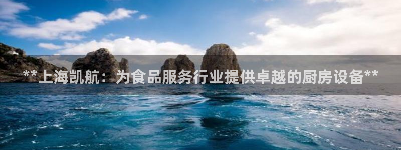 尊龙现在：**上海凯航：