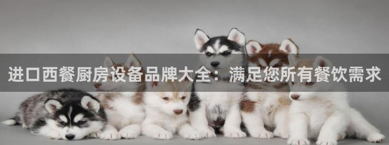尊龙人生就是博中国区：进口西餐厨房设备品牌大全：满足您所有餐