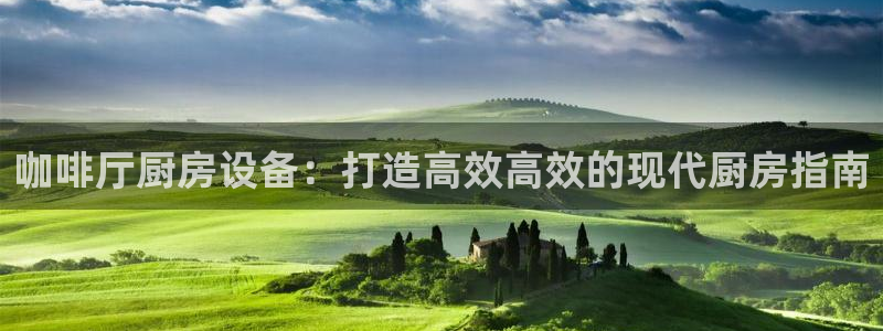 凯时k66官网登录：咖啡厅厨房设备：打造高效高效的现代厨房指