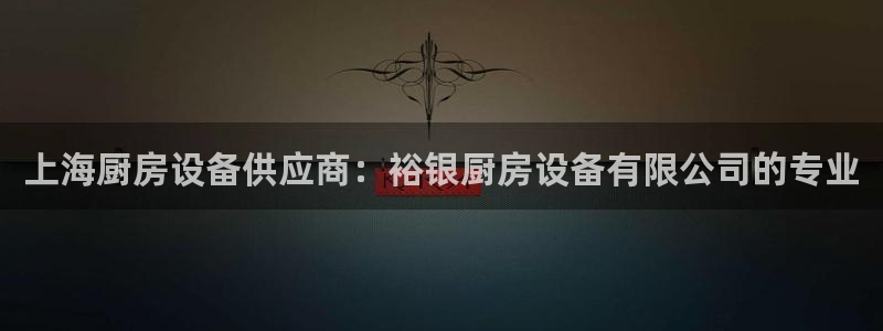 尊龙网址登录官网：上海厨房设备供应商：裕银厨房设备有限公司的