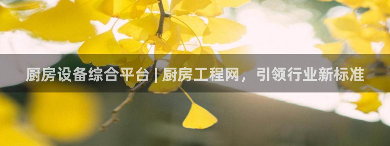 尊龙凯时手机版·(中国)官方网站：厨房设备综合平台 | 厨房