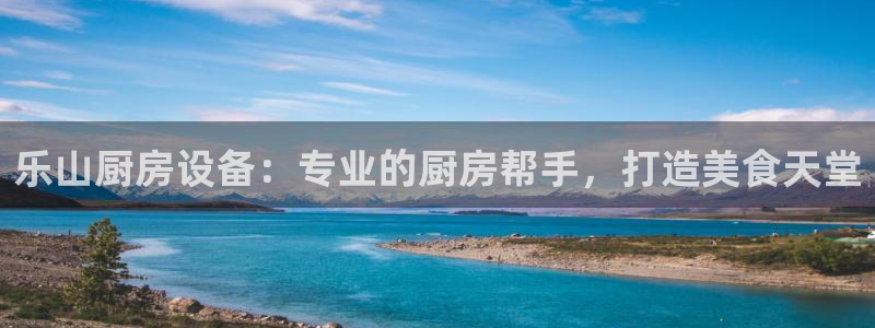 尊龙手机客户端app：乐山厨房设备：专业的厨房帮手，打造美食