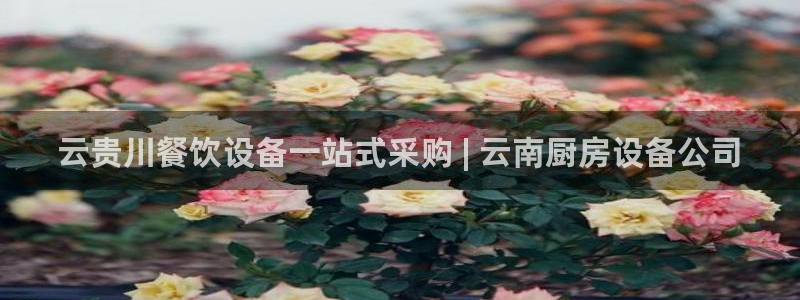 凯时尊龙app国际官方网站：云贵川餐饮设备一站式采购 | 云