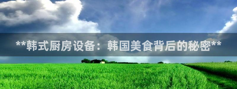 凯时尊龙app国际官方网站：**韩式厨房设备：韩国美食背后的