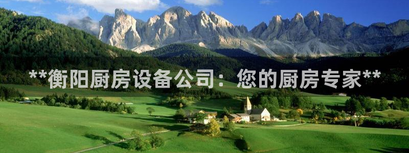 凯时app官方首页：**衡阳厨房设备公司：您的厨房专家**