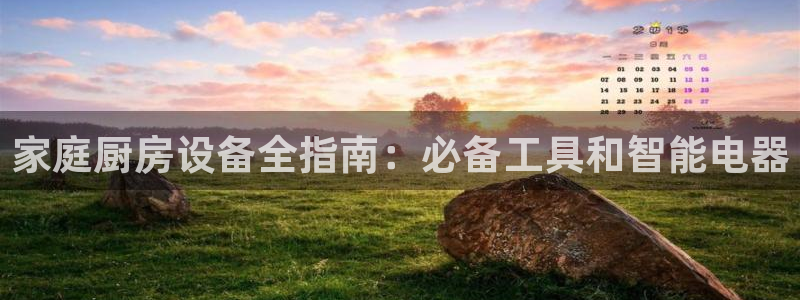 尊龙凯时只输不赢：家庭厨房设备全指南：必备工具和智能电器