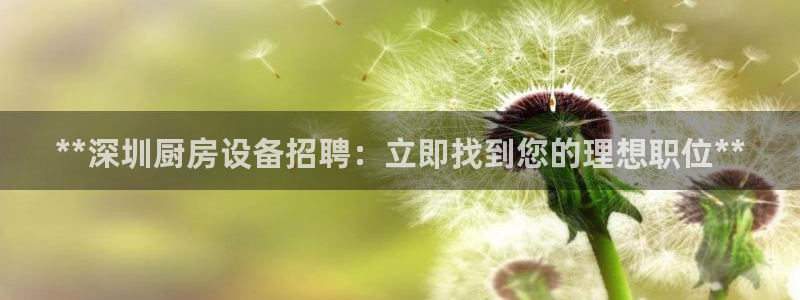 尊龙app|首选agdaohang：**深圳厨房设备招聘：立