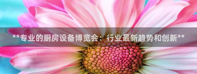 凯时官网：**专业的厨房