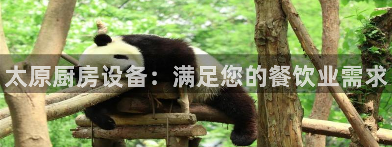 尊龙凯时发展历程：太原厨房设备：满足您的餐饮业需求